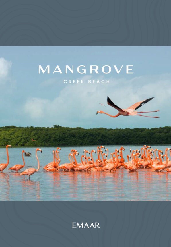 Brochure cover